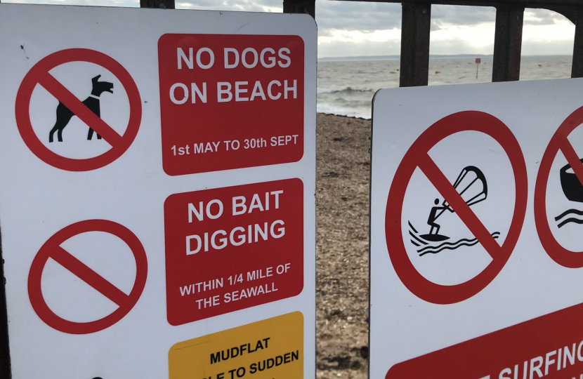 Dog-friendly beach 