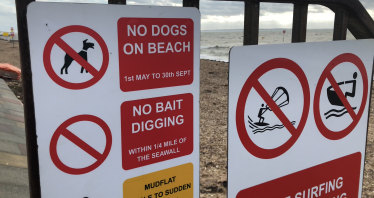 Dogs on beaches campaign